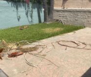 VIVE TRANQUILAMENTE EN PLAYAS DE TIJUANA EN ESTA CASA EN VENTA